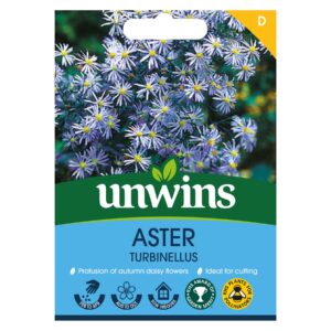 Unwins Flower Aster turbinellus - 50 Seeds