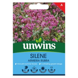 Unwins flower Silene armeria Rubra - 200 Seeds