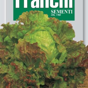 Franchi Seeds of Italy Lettuce Rossa Di Trento Seeds