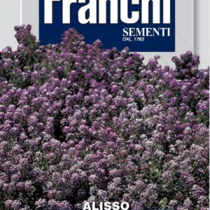 Franchi Seeds of Italy - Flower - FDBF_ 301-3 - Alyssum - Nano Violet Queen - Seeds