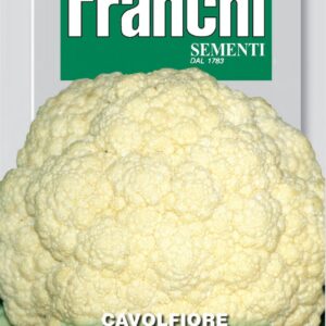 Franchi Seeds of Italy - DBO 30/50 - Cauliflower - Marzatico - Seeds