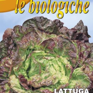 Franchi Organic BIOB79/5 Lettuce Quattro Stagioni Seeds