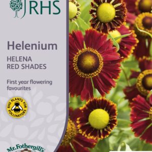 Mr Fothergills - RHS - Flower - Helenium - Helena Red Shades - 50 Seeds