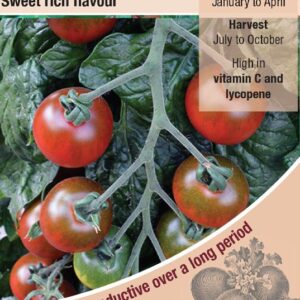 Kings Seeds Tomato Ruby Falls Seeds