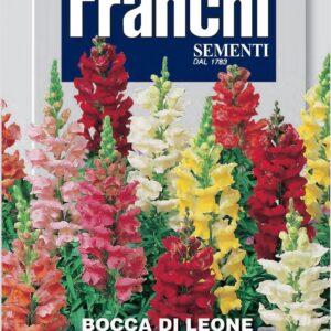 Franchi Seeds of Italy - Flower - FDBF_ 307-2 - Antirrhinum - Nana Multicolour - Seeds