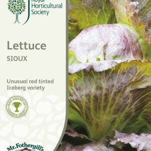 Mr Fothergills RHS Lettuce Sioux (Crisphead) 750 Seeds