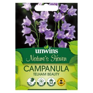 Unwins Flower Campanula Telham Beauty - 200 Seeds