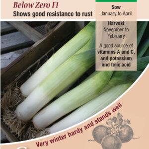 Kings Seeds Leek Below Zero F1 - 75 Seeds