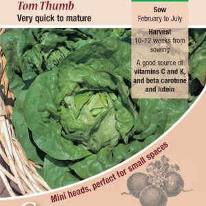 Kings Seeds Lettuce Tom Thumb 1400 Seeds