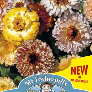 Mr Fothergills Calendula Playtime Mix 50 Seeds