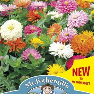 Mr Fothergills Zinnia Choice Mixed 50 Seeds