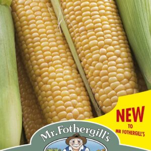 Mr Fothergills Sweet Corn Rising Sun F1 35 Seeds