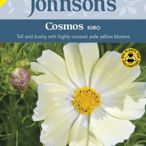 Johnsons Seeds Cosmos Kiiro 50 Seeds