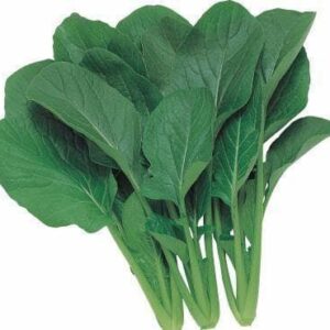Komatsuna Japanese Green Boy Seeds