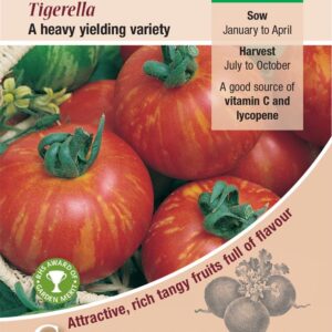Kings Seeds Tomato Tigerella 75 Seed