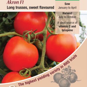 Kings Seeds Tomato Akron F1 Hybrid 12 Seeds