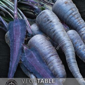 Thompson & Morgan Kew Vegetable Carrot Purple Sun - 250 Seeds