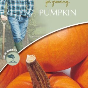 Mr Fothergills - David Domoney - Vegetable - Pumpkin - Small Sugar - 25 Seeds