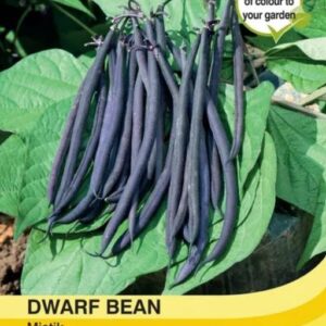 Thompson & Morgan  Vegetable Dwarf Bean Mistik - 40 Seeds