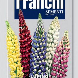 Franchi Seeds of Italy - Flower - FDBF_ 335-1 - Lupin - alto Multicolour - Seeds