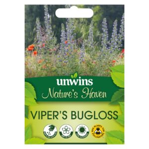 Unwins Flower Native British Isles Wildflower Viper's Bugloss - 200 Seeds