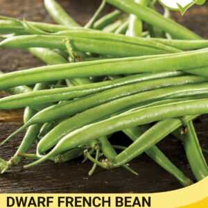 Thompson & Morgan  Vegetable Dwarf French Bean Compass (Green) - 40 Seeds
