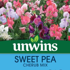 Unwins Sweet Pea Cherub Mix Seeds