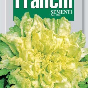 Franchi Seeds of Italy - DBO 121/2 - Endive - Bionda A Cuore Pieno - Seeds