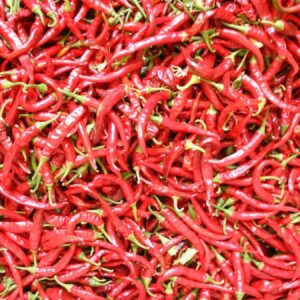 Organic Pepper (Chilli) Ring of Fire Seeds
