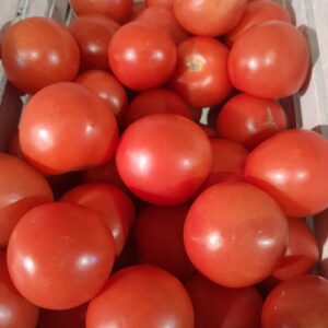Tomato Ailsa Craig Seeds