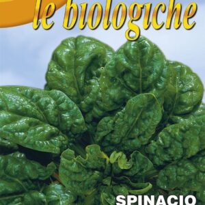 Franchi Organic BIOB127/18 Spinach America Seeds