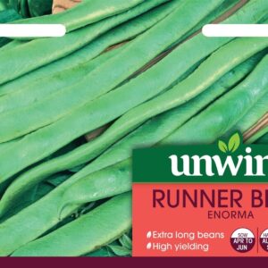 Unwins Runner Bean Enorma 50 Seeds