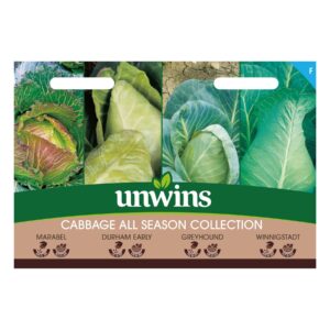 Unwins Vegetable Cabbage All Season Collection Pack  - 1000 Seeds