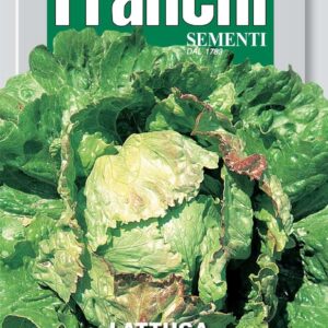 Franchi Seeds of Italy Lettuce Bionda A Bordo Rosso 3 Seeds