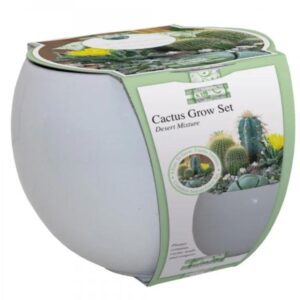 Bees Cactus Mixture Grow Set - 6 Varieties