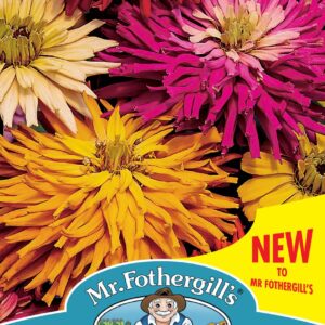 Mr Fothergills - Flower - Zinnia - Starburst Mixed - 75 Seeds
