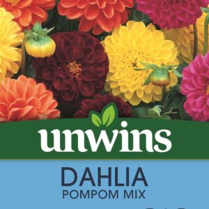Unwins Dahlia Pompom Mix 50 Seeds