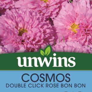 Unwins Cosmos Double Click Rose Bon Bon 10 Seeds