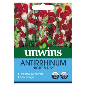 Unwins Antirrhinum Night & Day 500 Seeds