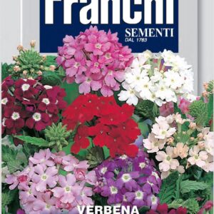 Franchi Seeds of Italy - Flower - FDBF_ 354-1 - Verbena grandiflora - Mix - Seeds