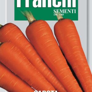 Franchi Seeds of Italy Carrot Chantenay Seeds