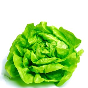 Lettuce Compact Green Butterhead Weldon RZ - LS11153 Seeds