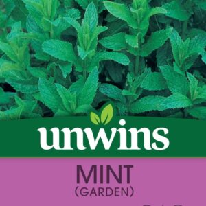 Unwins Herb Mint (Garden) 1300 Seeds