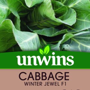 Unwins Cabbage Winter Jewel 40 Seeds