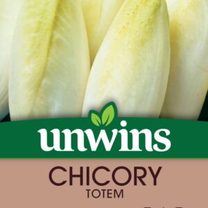 Unwins Chicory Totem 50 Seeds