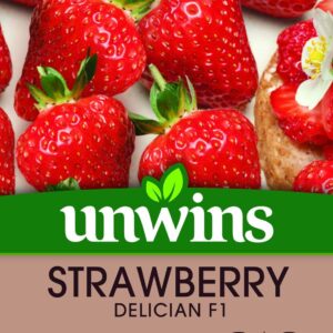 Unwins Strawberry Delician 10 Seeds