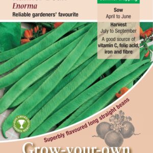 Kings Seeds Runner Bean Enorma 45 Seeds