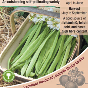 Kings Seeds Runner Bean Moonlight Seeds