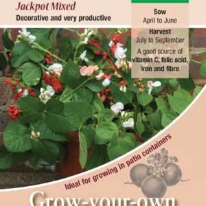 Kings Seeds Runner Bean Jackpot Mixed Seeds
