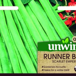 Unwins Runner Bean Scarlet Emperor (Organic) 30 Seeds